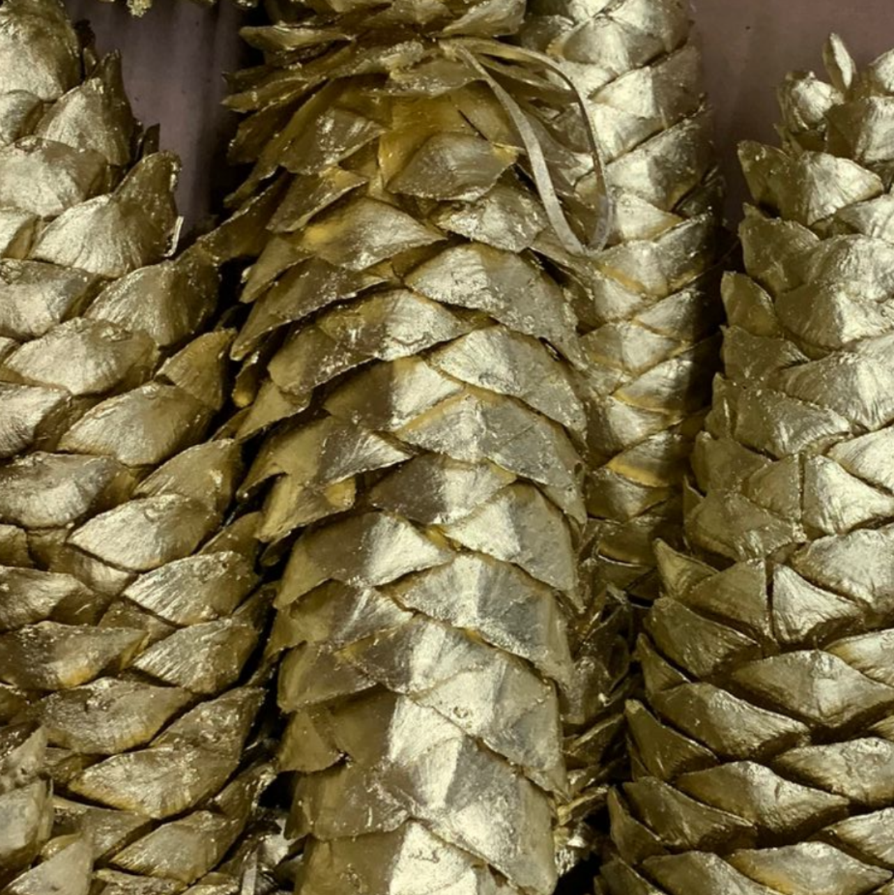 Cones 'Sugar' (Painted) (DRY) (Various Colours))