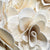 Wood Rose (DRY) (x10) (Various Lengths)