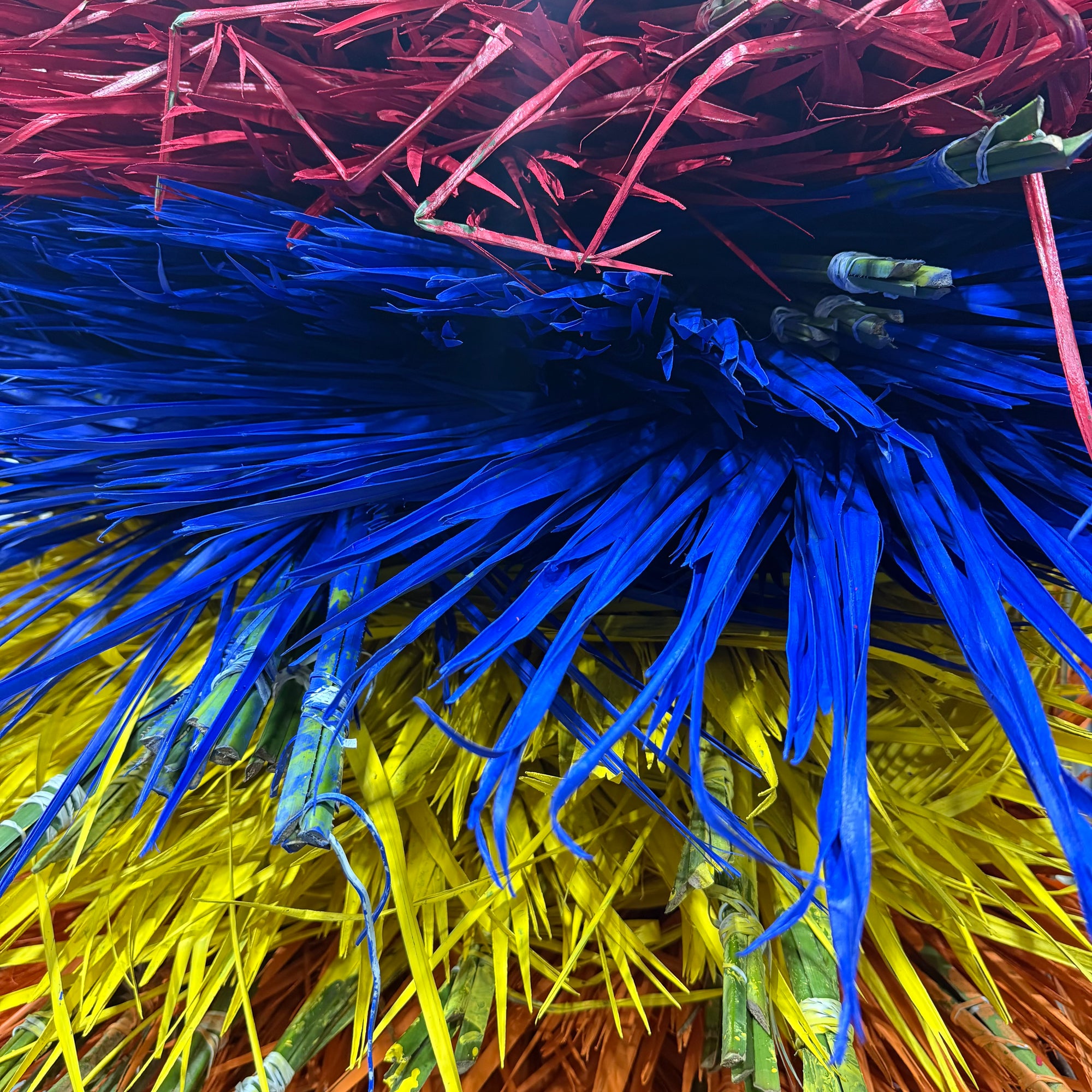 Palm 'Fan Palm' (Painted) (Various)