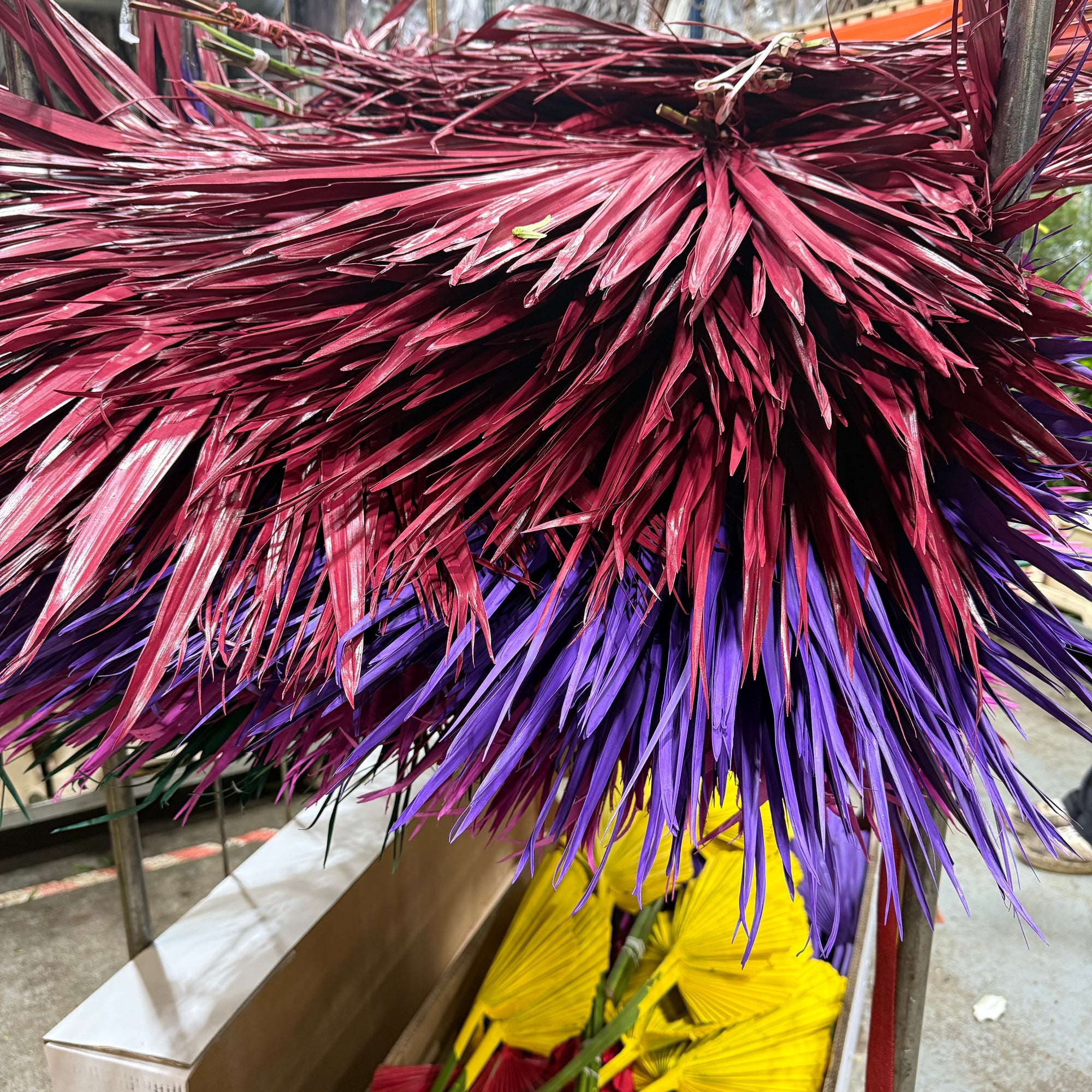 Palm 'Fan Palm' (Painted) (Various)