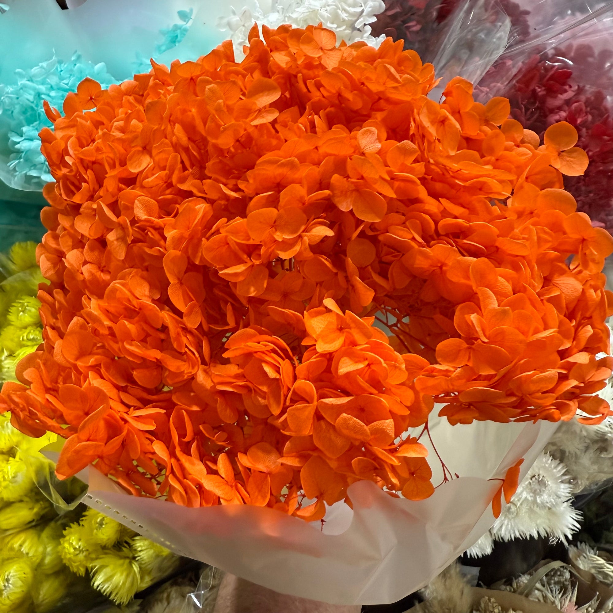 Hydrangea Flower 'Anna' 70cm (Various Colours) (Bleached) (DRY)