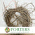 Vine 'Honeysuckle' (Bundle x10 stems)
