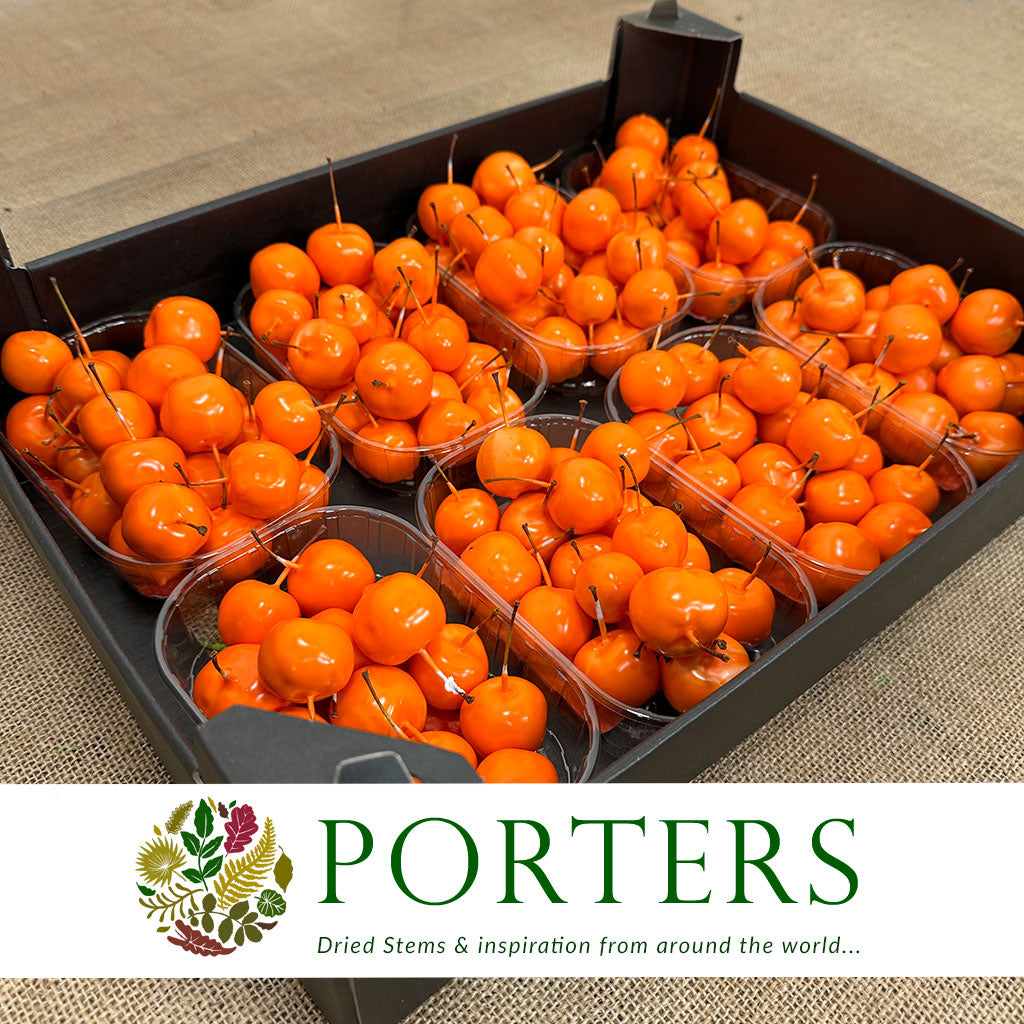 Waxed 'Crab Apples' (Various Colours) 'With and without Glitter' (Small Punnet)