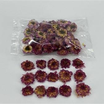 Dahlia 'Flower Heads' (DRY) (Various Colours) (50-60 Heads)