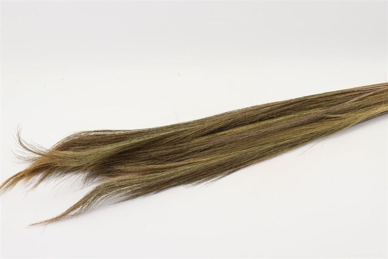 Grass &#39;Chinese Broom&#39; (DRY) (110cm)