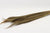 Grass 'Chinese Broom' (DRY) (110cm)