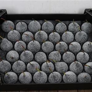 Waxed 'Pears' (Various Colours) 'With and Without Glitter' (x39)