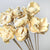 Palm Cup (Bleached) (DRY) (x10) 70cm