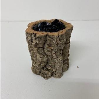 Cork Bark &#39;Pot Planter&#39; (DRY) (Various Sizes)