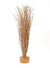 Twigs 'Branch Broom' 60cm (DRY) (Per Stem)