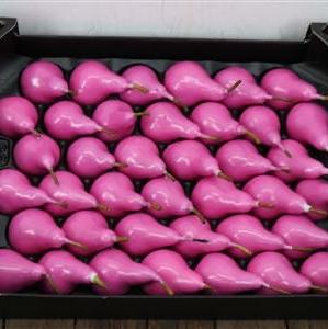 Waxed 'Pears' (Various Colours) 'With and Without Glitter' (x39)