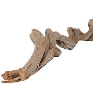 Cipo &#39;Rosco&#39; (Natural) (DRY) (Various Sizes)