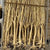 Twigs 'Manzanita' Branch (Natural) Wild (DRY) (270cm)