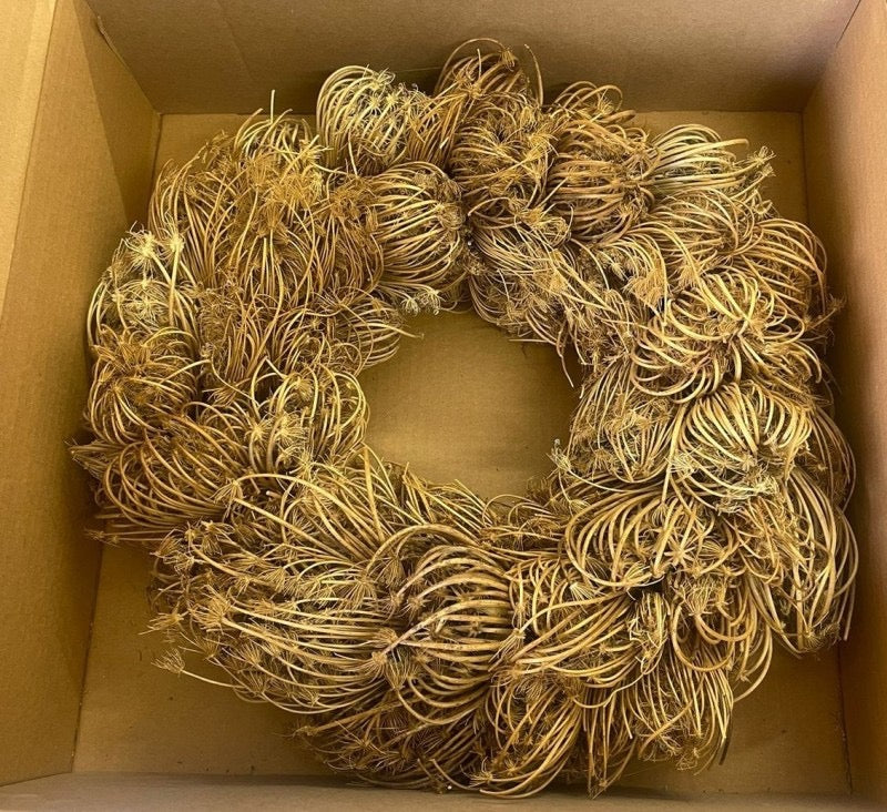 Wreath &#39;Dill&#39; (Natural) (DRY) (Various Sizes)
