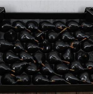 Waxed 'Pears' (Various Colours) 'With and Without Glitter' (x39)