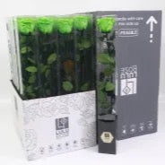 Rose (Single Stems) 'Preserved' (DRY) 50cm (x1)