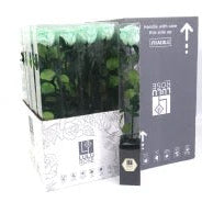 Rose (Single Stems) &#39;Preserved&#39; (DRY) 50cm (x1)