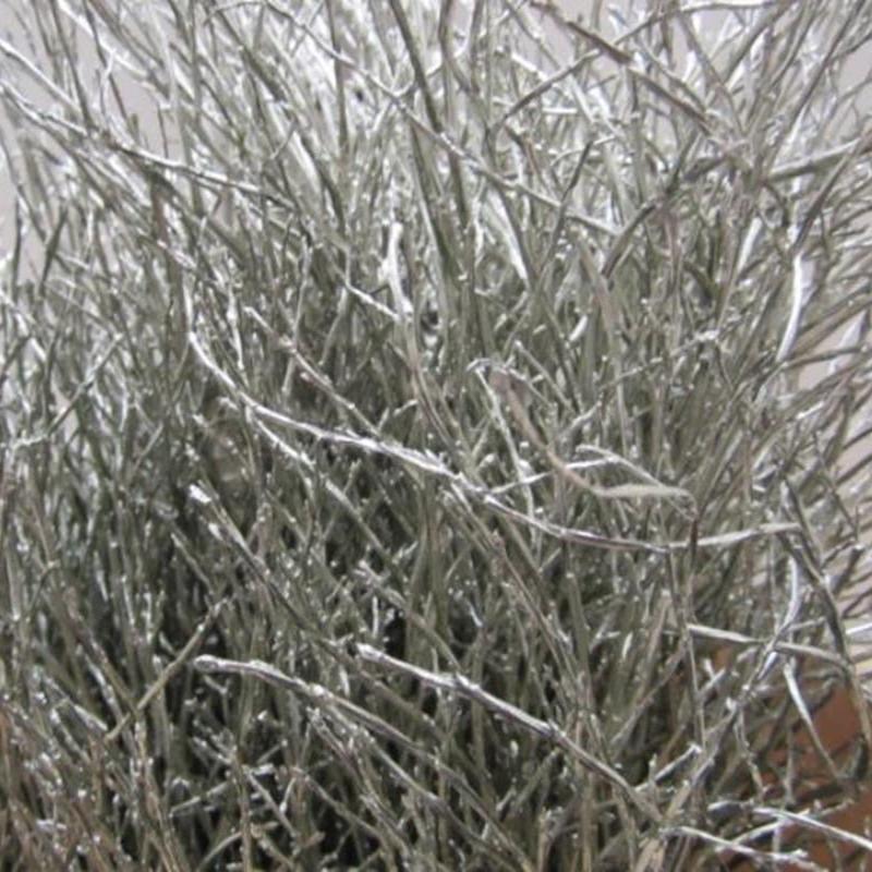 Bog Myrtle &#39;Painted or Glittered&#39; (Various Colours) (Bundle)