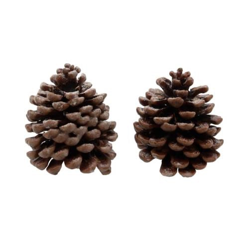 Cones &#39;Pinus Pinea&#39; (Natural) (DRY) (Various Sizes)