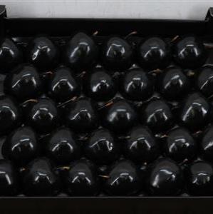 Waxed 'Apples' (Various Colours) Tray (x30)