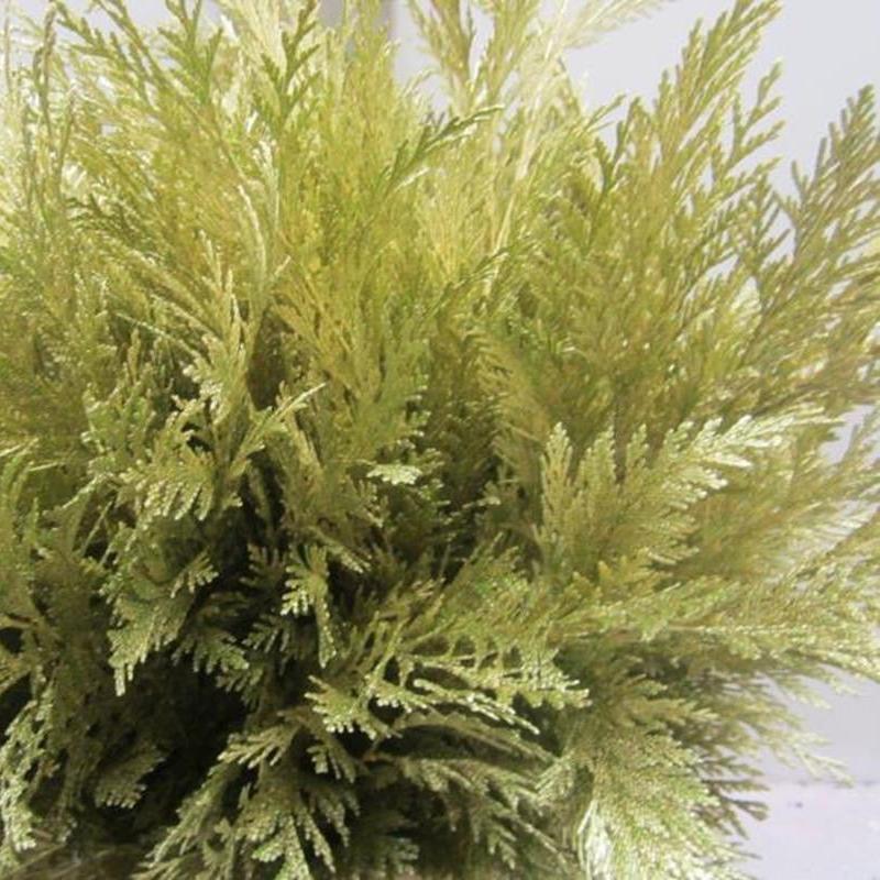 Conifer (Painted) (Various Colours)