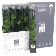 Rose (Single Stems) &#39;Preserved&#39; (DRY) 50cm (x1)