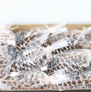 Cones &#39;Sugar&#39; (Scented or Covered in Sugar) (DRY) (35cm)