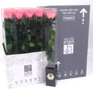 Rose (Single Stems) &#39;Preserved&#39; (DRY) 50cm (x1)