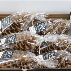 Cones 'Sugar' (Unpainted Scented/Sugar) (DRY) (35cm)