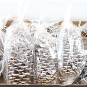 Cones 'Sugar' (Unpainted Scented/Sugar) (DRY) (35cm)