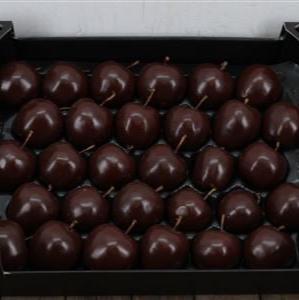 Waxed 'Apples' (Various Colours) Tray (x30)