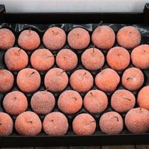 Waxed 'Apples' Glitter (Various Colours) Tray (x30)