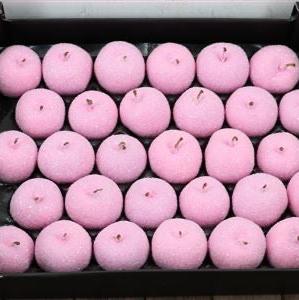 Waxed 'Apples' Glitter (Various Colours) Tray (x30)