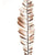Feathers 'Aparani' (Natural) (DRY) (Various Lengths) (Per Stem)