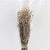 Poppy 'Heads' (Natural) (Various Sizes) (DRY)