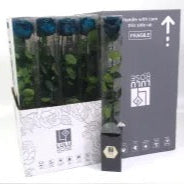 Rose (Single Stems) 'Preserved' (DRY) 50cm (x1)