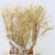 Tea Branch (Painted) DRY (Various Colours)