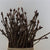 Chesnut 'Sticky Bud' (Horse Chestnut) 80-150cm (x10)