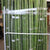 Bamboo 'Fresh' (Natural) 6-8cm 200cm