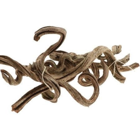 Cipo 'Rosco' (Natural) (DRY) (Various Sizes)