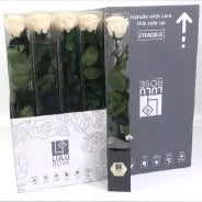 Rose (Single Stems) &#39;Preserved&#39; (DRY) 50cm (x1)
