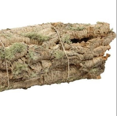 Cork Bark &#39;Pieces&#39; (Bundles x 5pcs) (DRY) (Various Sizes)