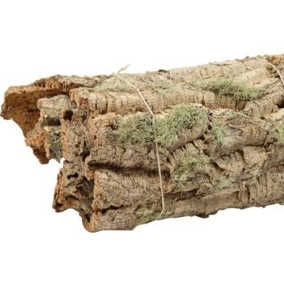 Cork Bark &#39;Pieces&#39; (Bundles x 5pcs) (DRY) (Various Sizes)