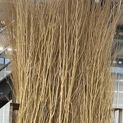 Twigs &#39;Manzanita&#39; Branch (Natural) Wild (DRY) (270cm)