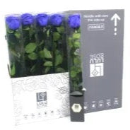 Rose (Single Stems) &#39;Preserved&#39; (DRY) 50cm (x1)