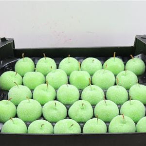 Waxed &#39;Apples&#39; Glitter (Various Colours) Tray (x30)