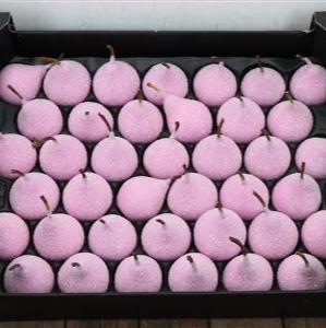 Waxed 'Pears' (Various Colours) 'With and Without Glitter' (x39)