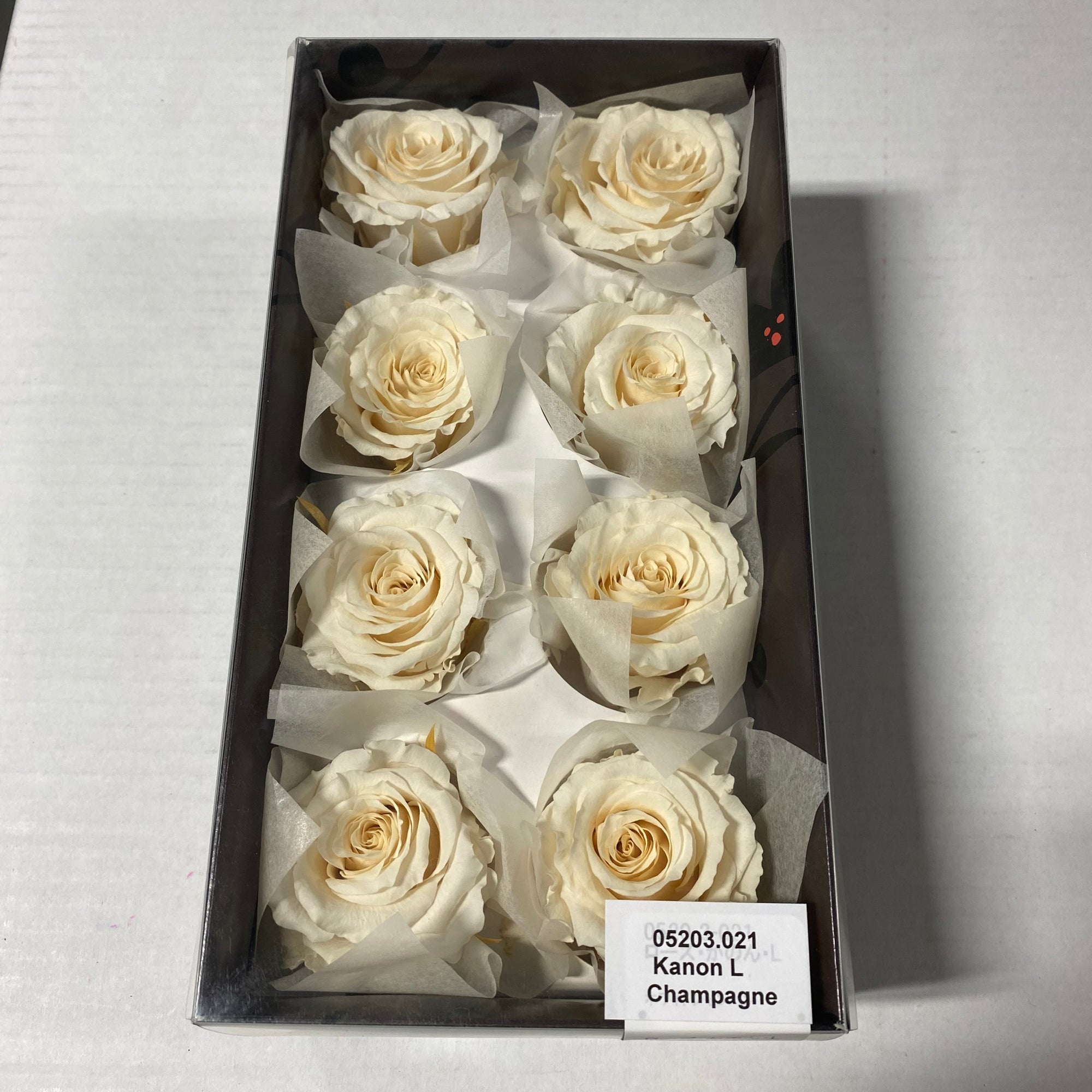 Rose Heads 'Preserved' (Various Colours & Sizes)