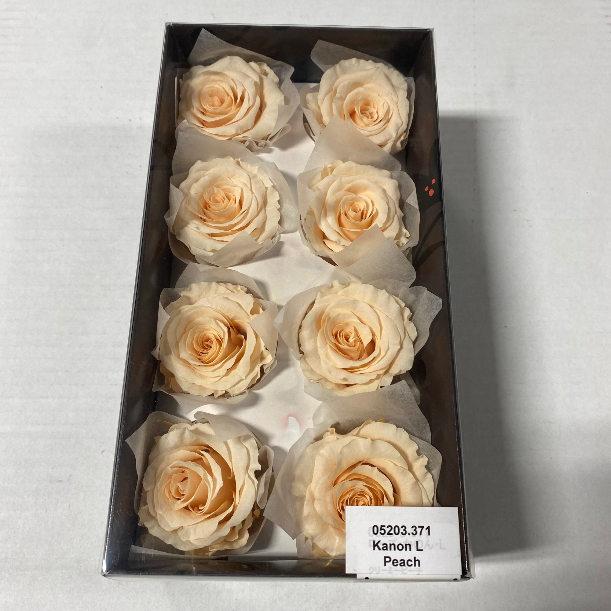 Rose Heads 'Preserved' (Various Colours & Sizes)