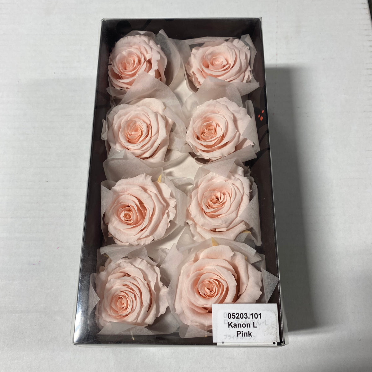 Rose Heads &#39;Preserved&#39; (Various Colours &amp; Sizes)